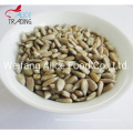 Bulk Packing Best Price Confectionery Grade Sunflower Seeds Kernels